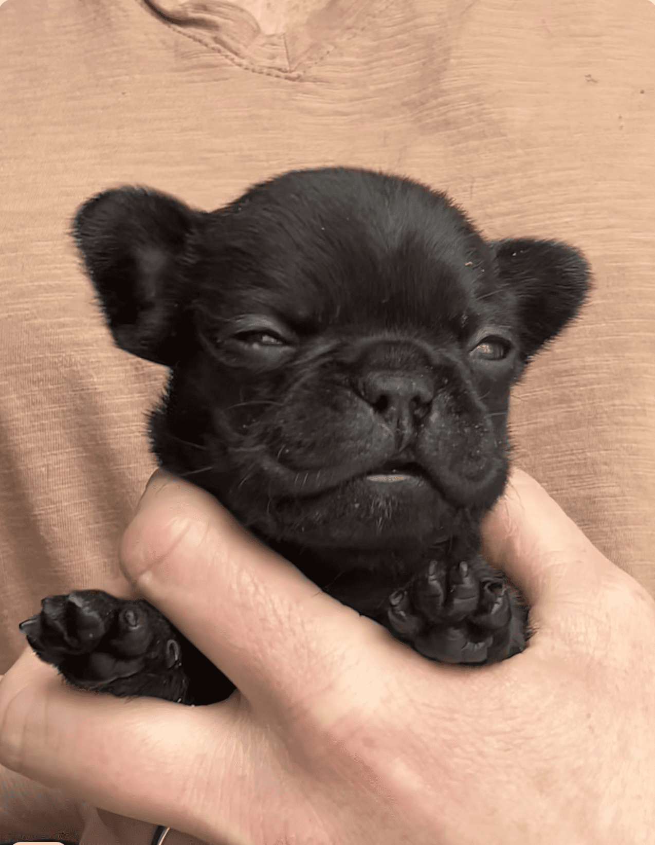 Screenshot 2026-04-28 at 2.21.25 PM