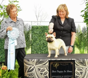 Proud handler with winning French Bulldog
