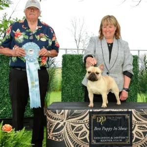 Dog show winners with prize ribbon