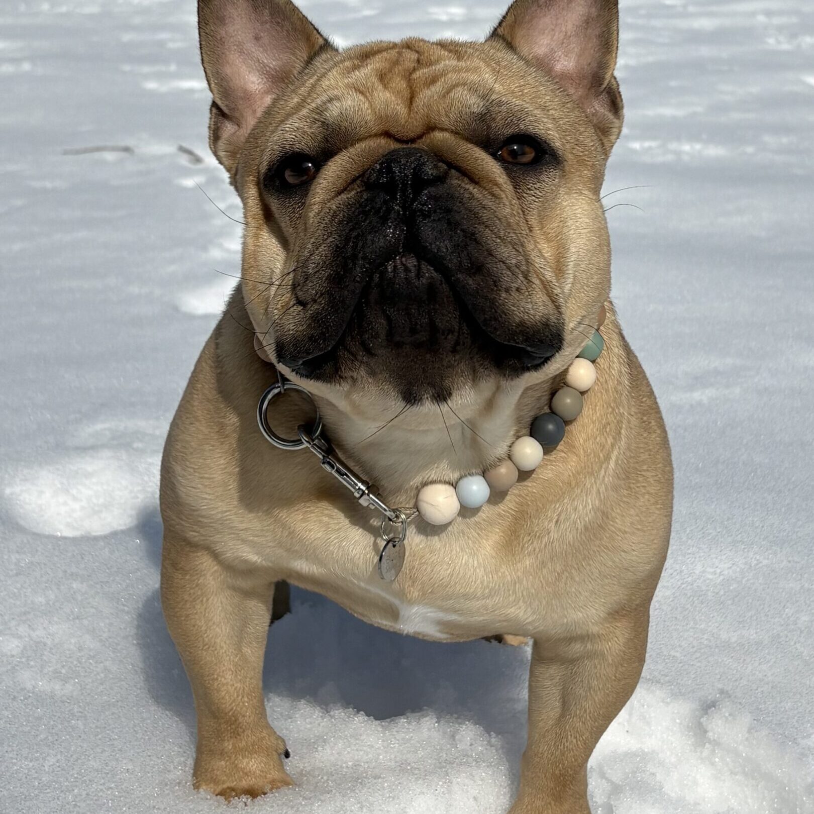 69baf27195e87_IMG_7075