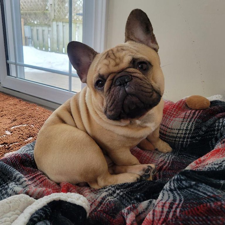 DA982B36-1B27-47A7-9DDC-5B615180D996_1_105_c